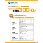 300 Examination Practice Questions: Math in Chinese (2A) - 3MS