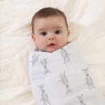 SwaddlePlus (Pack of 4) - Safari Babies - Aden + Anais - BabyOnline HK