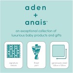 柔軟絲綢嬰兒包巾(3件裝) - Stargaze - Aden + Anais - BabyOnline HK