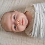 Essentials Silky Soft Bamboo Swaddle (Pack of 2) - Healing Nature - Aden + Anais - BabyOnline HK