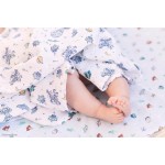 Aden + Anais - 純棉嬰兒包巾 (3件裝) - 迪士尼玩具總動員 - Aden + Anais - BabyOnline HK