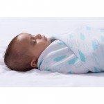 Muslin Swaddle (Pack of 3) - Tall Tale - Aden + Anais - BabyOnline HK