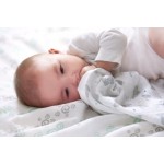 SwaddlePlus (Pack of 4) - Baby Star - Aden + Anais - BabyOnline HK