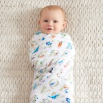Classic Swaddles (Pack of 4) - Paper Tales - Aden + Anais - BabyOnline HK