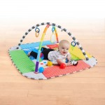 Patch’s 5-in-1 Color Playspace Activity Gym & Ball Pit with Music - Baby Einstein - BabyOnline HK