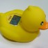 4 in 1 Digital Thermometer (Duck)