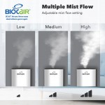 BioCair BC-65 Ultimate II Dry-Mist Disinfection Machine - BioCair - BabyOnline HK