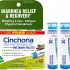 Cinchona 30C (Diarrhea Relief & Recovery) - 80 Pellets (3 Tubes)