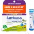 Sambucus Nigra 6C (Cough & Cold Relief) - 80 Pellets (3 Tubes)
