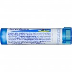 Single Remedies - Ferrum Phosphoricum - 30C (80 Pellets) - Boiron - BabyOnline HK