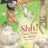 Picture Book (PB): Shh! Don't Wake the Baby!