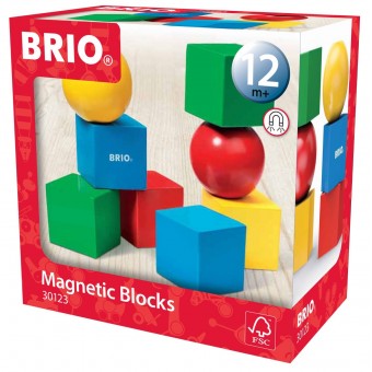 Magnetic Blocks