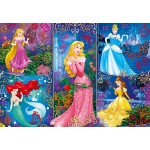 3D Puzzle - Disney Princess (104 Pcs) - Clementoni - BabyOnline HK