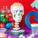 Science & Play - Crazy Anatomy Scientific Kit - Clementoni - BabyOnline HK
