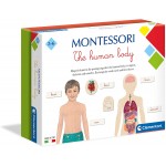 Montessori - Human Body - Clementoni - BabyOnline HK
