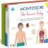 Montessori - Human Body
