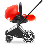 Cloud Q - Infant Car Seat [Special Edition] - Butterfly - Cybex - BabyOnline HK