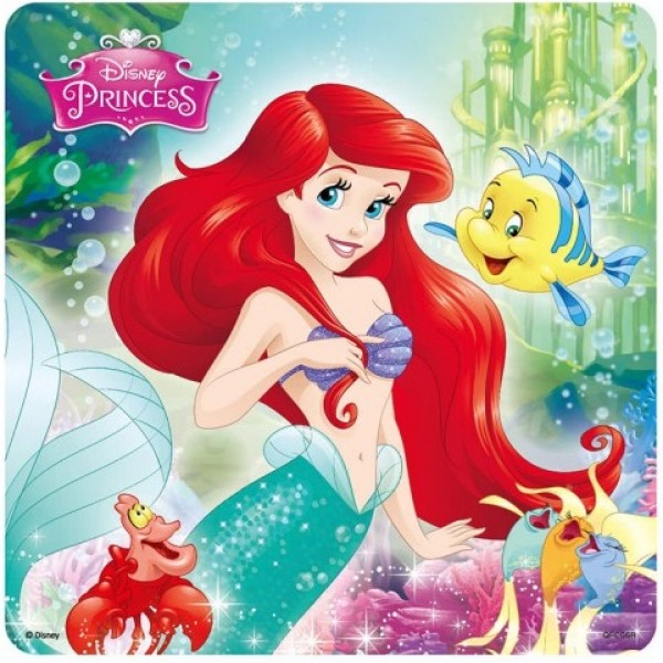 迪士尼公主 - 漂亮古錐拼圖 R (16片) - Disney - BabyOnline HK