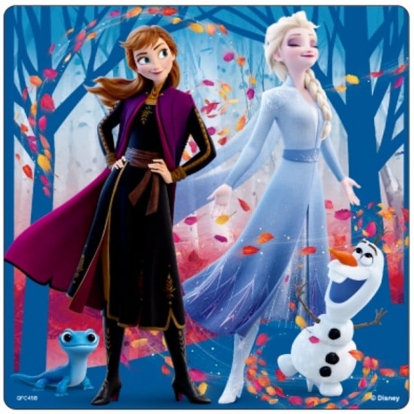 Frozen II - Puzzle B (20 pcs) - Disney - BabyOnline HK