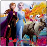 Frozen II - Puzzle F (12 pcs) - Disney - BabyOnline HK