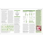 DK (USA) - Big Ideas Simply Explained - The Biology Book - DK - BabyOnline HK
