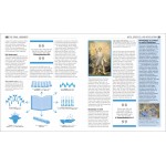 DK (USA) - Big Ideas Simply Explained - The Bible Book - DK - BabyOnline HK