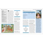 DK (USA) - Big Ideas Simply Explained - The Bible Book - DK - BabyOnline HK