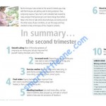 The Yummy Mummy Pregnancy Cookbook - DK - BabyOnline HK