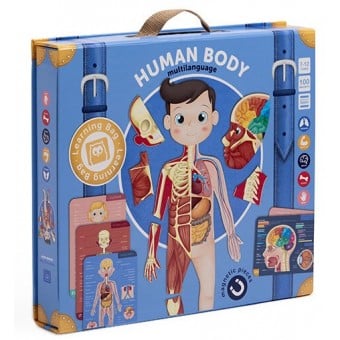 Magnetic Box - Human Body