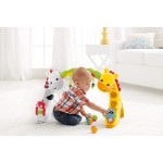 Newborn to Toddler Play Gym - Fisher Price - BabyOnline HK