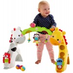 Newborn to Toddler Play Gym - Fisher Price - BabyOnline HK