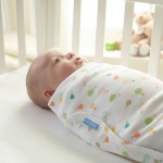 GroSwaddle - Up and Away - The Gro Company - BabyOnline HK