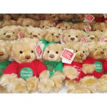 Message Bear 'Need a Cuddle?' - GUND - BabyOnline HK