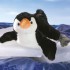 Aquatic Wonders - Penguin