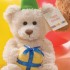 Happy Birthday Teddy Bear with Present