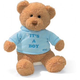 Message Bear 'It's a Boy'