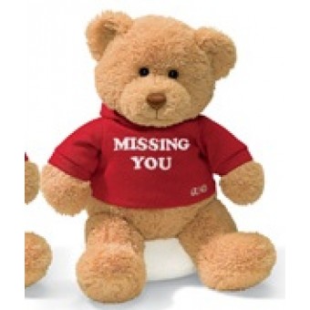 GUND - Message Bear 'Missing You'