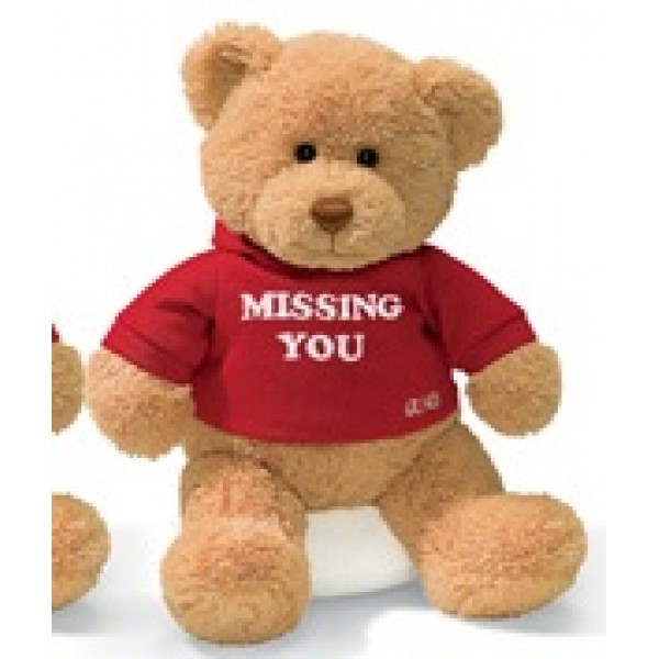 GUND - Message Bear 'Missing You' - GUND - BabyOnline HK