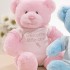 Teddy Bear 'Welcome Little One' (Pink)