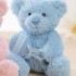 Welcome Little One Blushing Blue Teddy Bear with Rattle