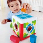 Shape Sorting Box - Hape - BabyOnline HK