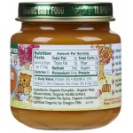 Organic Pumpkin Pie 113g - Healthy Times - BabyOnline HK