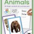 Write & Wipes Flash Cards - Animals