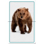 Building Blocks Slide & Learn Flash Cards - Animals - Hinkler - BabyOnline HK