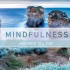 Mindfulness Jigsaw Puzzle: Apostles (500 pcs)
