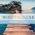 Mindfulness Jigsaw Puzzle: Boardwalk (500 pcs)