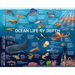 Puzzlebilities Jigsaw Puzzle: Ocean Life (500 pcs) - Hinkler - BabyOnline HK
