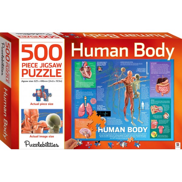 Puzzlebilities Jigsaw Puzzle: Human Body (500 pcs) - Hinkler - BabyOnline HK