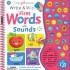 First Steps: Write & Wipe - First Words with Sounds