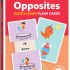 Junior Explorers - Opposites Slide & Learn Flash Cards